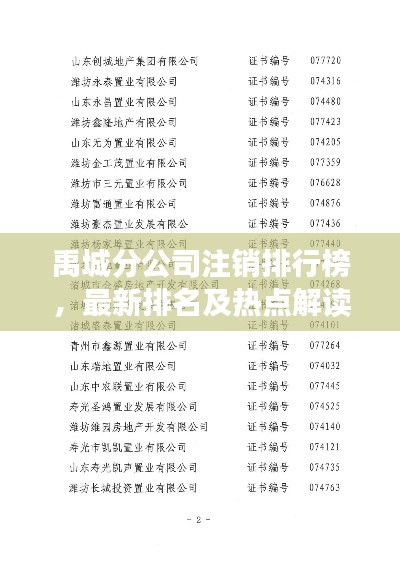 禹城分公司注销排行榜，最新排名及热点解读