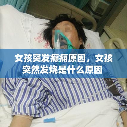 龙飞九五 第2页