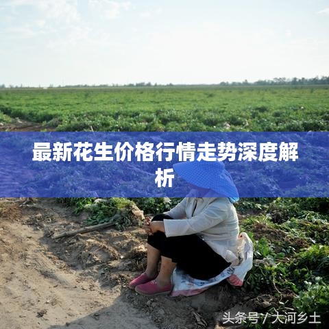 pishajianjin