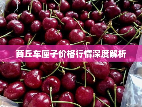第260页