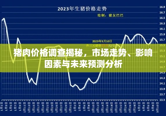 猪肉价格调查揭秘，市场走势、影响因素与未来预测分析