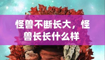 zhangkuangwangxing