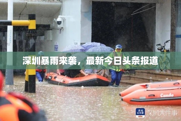 深圳暴雨来袭，最新今日头条报道
