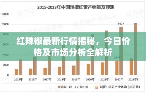 红辣椒最新行情揭秘，今日价格及市场分析全解析