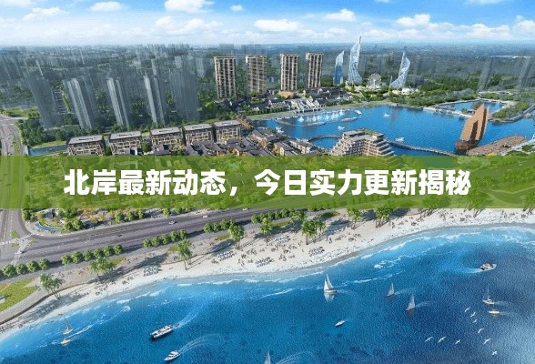 北岸最新动态，今日实力更新揭秘