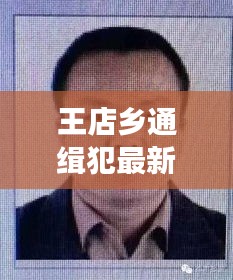 王店乡通缉犯最新名单曝光，追捕进展与嫌疑人信息更新