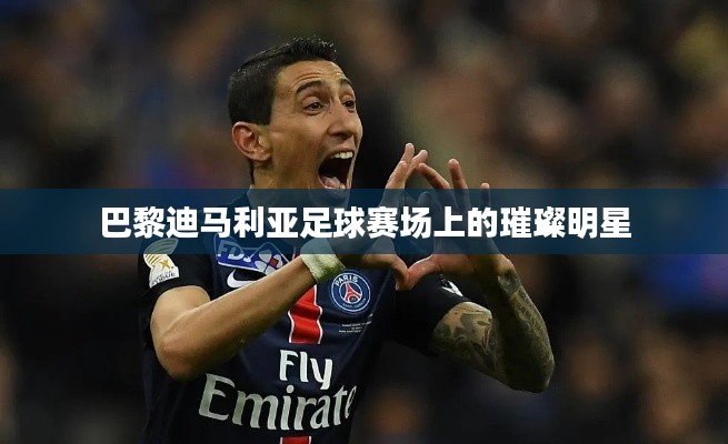 巴黎迪马利亚足球赛场上的璀璨明星