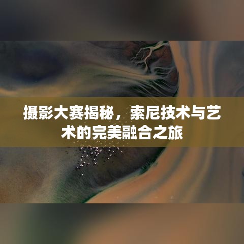 摄影大赛揭秘，索尼技术与艺术的完美融合之旅
