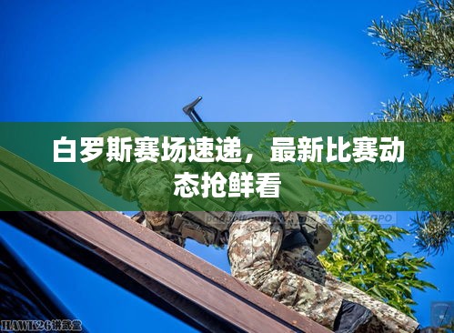 白罗斯赛场速递，最新比赛动态抢鲜看