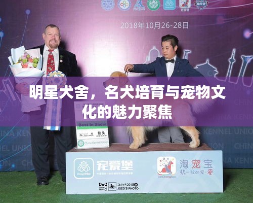 明星犬舍，名犬培育与宠物文化的魅力聚焦