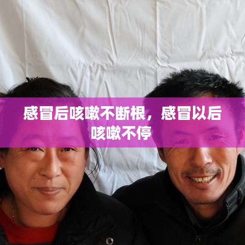 箪瓢陋室 第2页