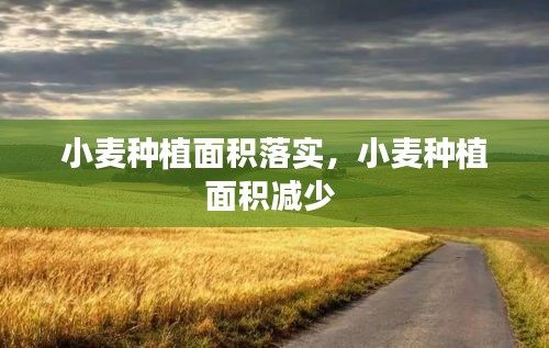 zizibujuan 第2页