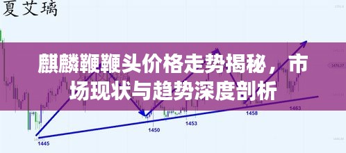 麒麟鞭鞭头价格走势揭秘，市场现状与趋势深度剖析