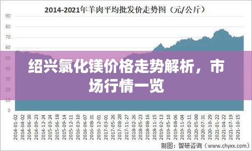 绍兴氯化镁价格走势解析，市场行情一览