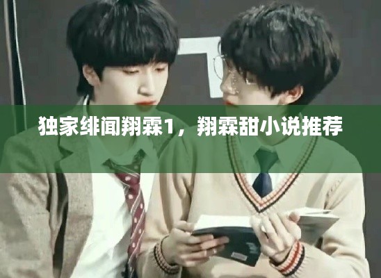 独家绯闻翔霖1，翔霖甜小说推荐 