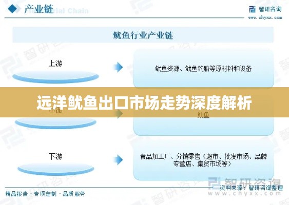 远洋鱿鱼出口市场走势深度解析