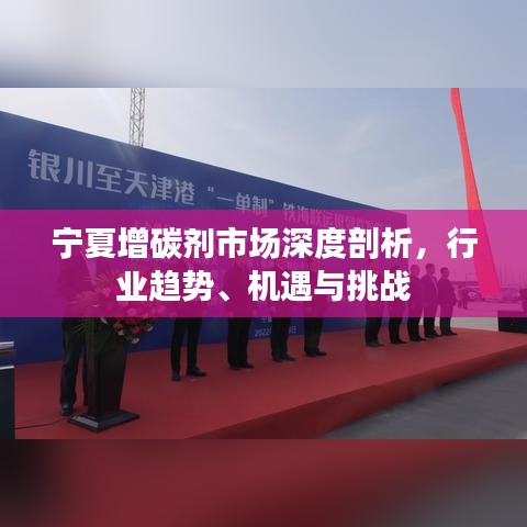 宁夏增碳剂市场深度剖析，行业趋势、机遇与挑战