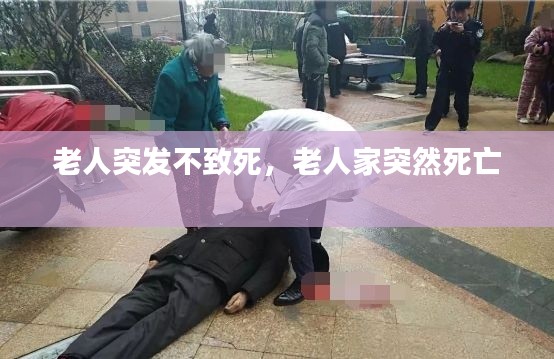 百不得一 第2页
