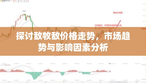 探讨敌牧敌价格走势，市场趋势与影响因素分析