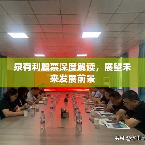 泉有利股票深度解读，展望未来发展前景