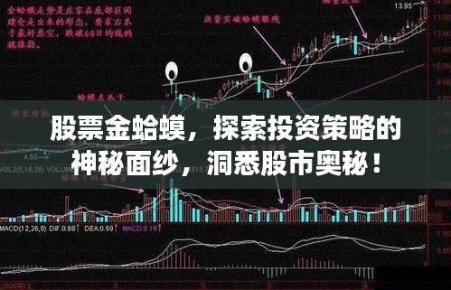股票金蛤蟆，探索投资策略的神秘面纱，洞悉股市奥秘！