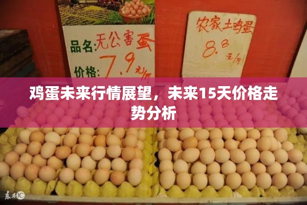 鸡蛋未来行情展望，未来15天价格走势分析
