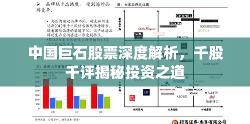 中国巨石股票深度解析，千股千评揭秘投资之道