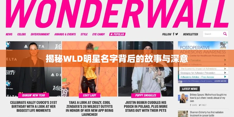 揭秘WLD明星名字背后的故事与深意
