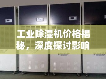 工业除湿机价格揭秘，深度探讨影响价格的相关因素