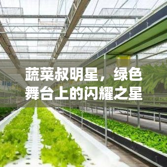 夸夸其谈 第2页