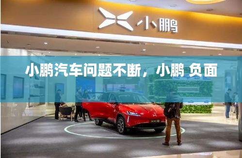 小鹏汽车问题不断，小鹏 负面 