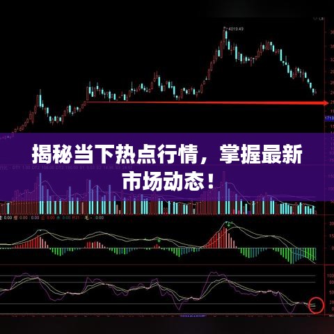 揭秘当下热点行情，掌握最新市场动态！