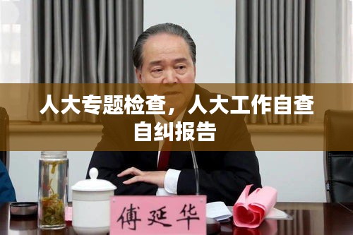人大专题检查，人大工作自查自纠报告 