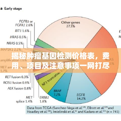 揭秘肿瘤基因检测价格表，费用、项目及注意事项一网打尽！