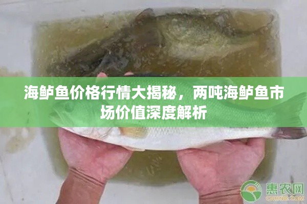 肝胆相照 第2页