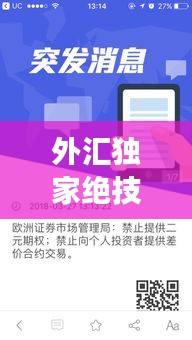 外汇独家绝技分享，外汇视频教学全套 