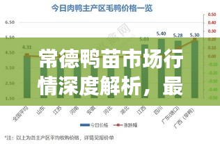 biwafeimeng 第2页