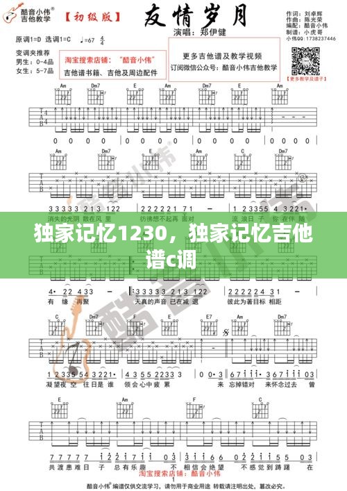 独家记忆1230，独家记忆吉他谱c调 