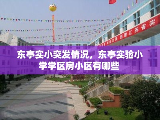 东亭实小突发情况，东亭实验小学学区房小区有哪些 