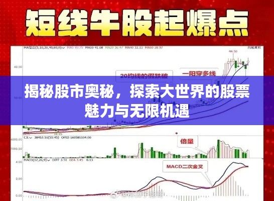 揭秘股市奥秘，探索大世界的股票魅力与无限机遇