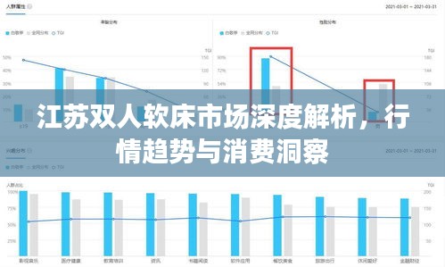 江苏双人软床市场深度解析，行情趋势与消费洞察