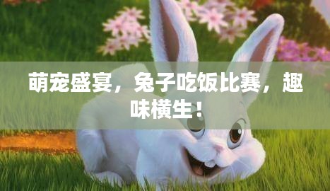 萌宠盛宴，兔子吃饭比赛，趣味横生！
