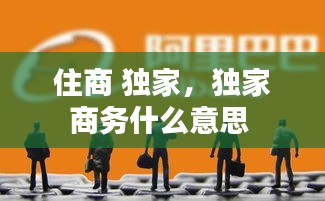 住商 独家，独家商务什么意思 