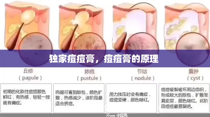 贵不可言 第2页