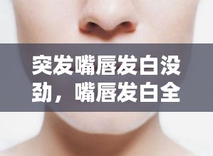 chengmenfeixue 第2页
