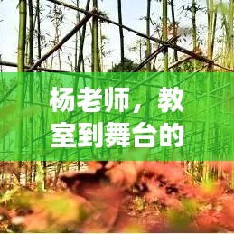 量入为出 第3页