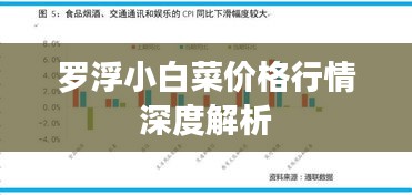 罗浮小白菜价格行情深度解析