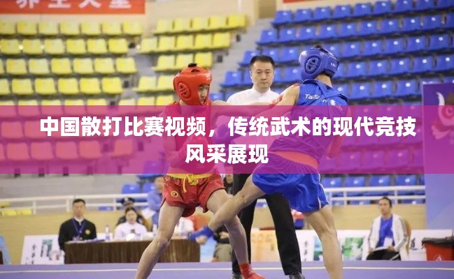 中国散打比赛视频，传统武术的现代竞技风采展现
