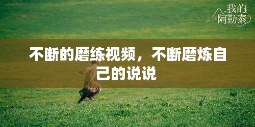 囊萤映雪 第2页