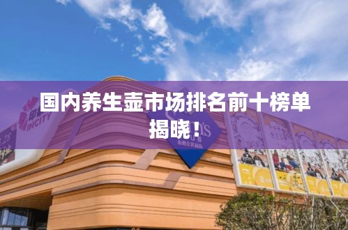 国内养生壶市场排名前十榜单揭晓！